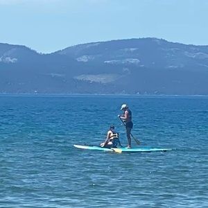 Meet your Posher, Trinity